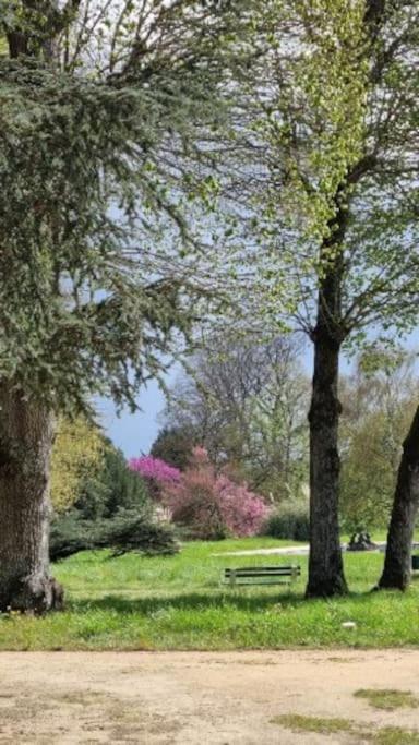 Pavillon Des Ecureuils Au Chateau Royal De Benays Benais Εξωτερικό φωτογραφία
