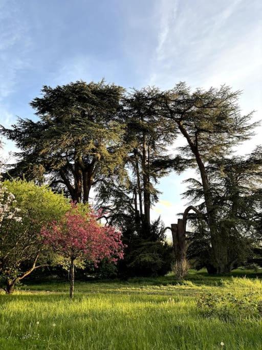 Pavillon Des Ecureuils Au Chateau Royal De Benays Benais Εξωτερικό φωτογραφία